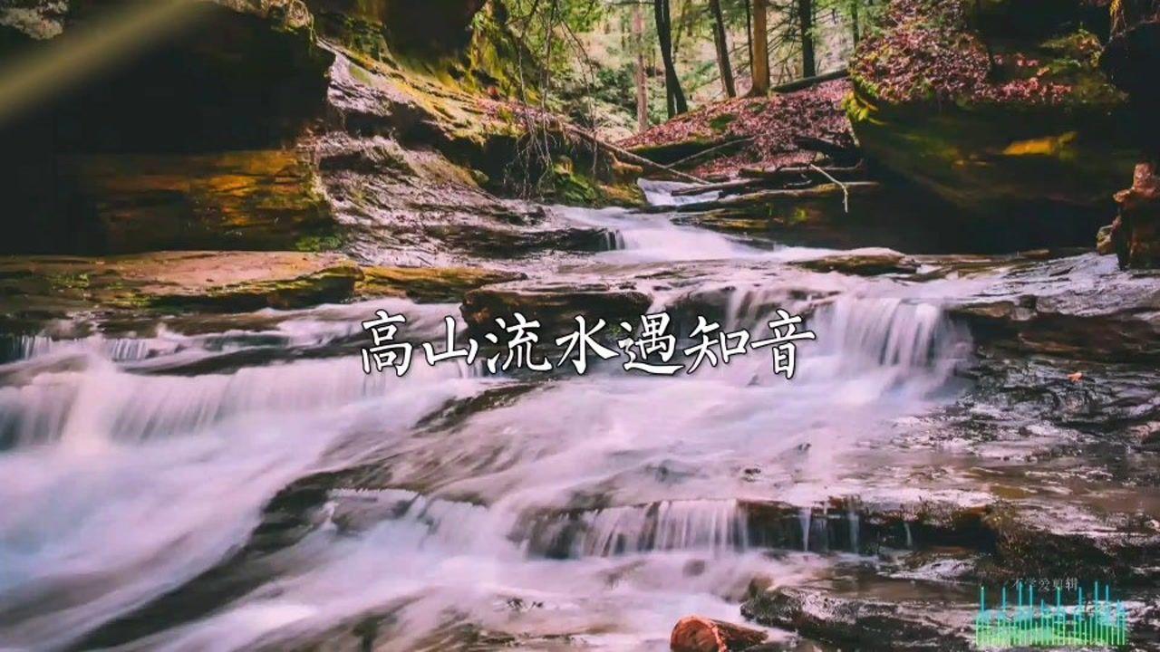 贪吃鼠吃豆豆