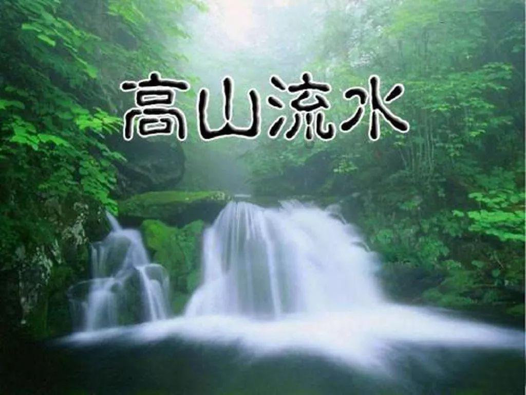 逃离棕榈树森林